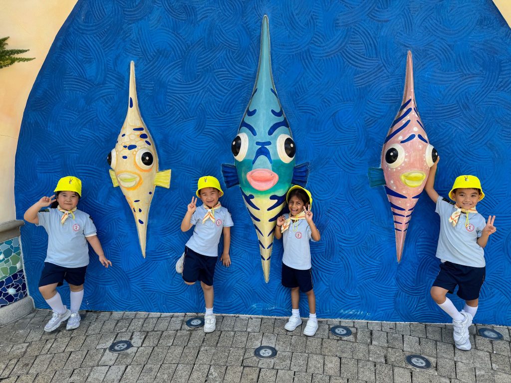 WhatsApp Image 2025-09-04 at 22.44.39 (1)