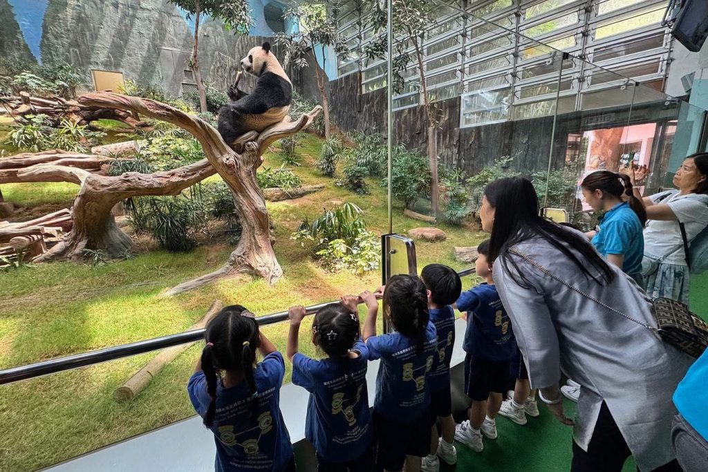 WhatsApp Image 2025-09-04 at 22.49.34 (1)